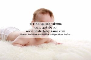 Avcılar Gümüşpala Halı Yıkama